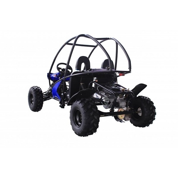 Cheap Price Dune Buggy 4x4 Electric Buggy for Adults