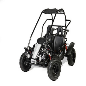 Cheap Price Dune Buggy 4x4 Electric Buggy for Adults