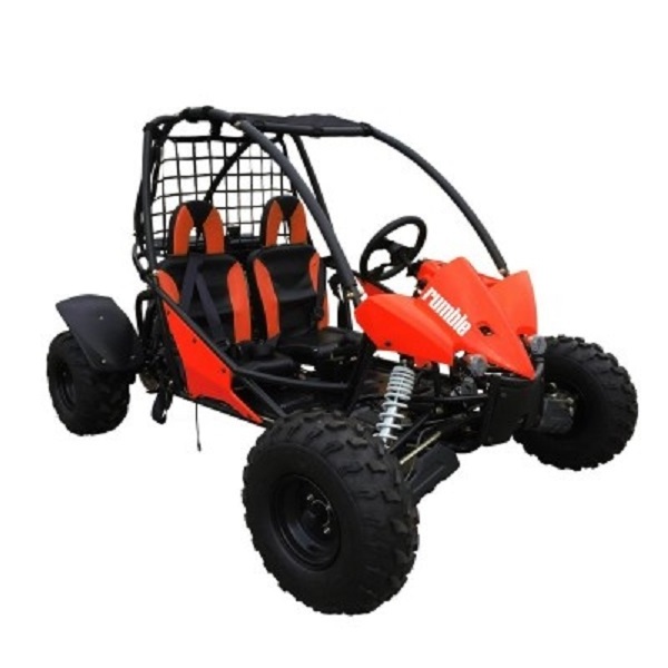 Cheap Price Dune Buggy 4x4 Electric Buggy for Adults