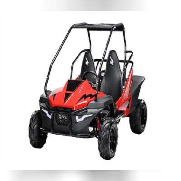 New 2022 Hammerhead Off-Road Dune Buggy All