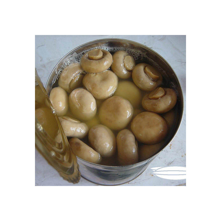 Quality Whole Canned Mushrooms for sale