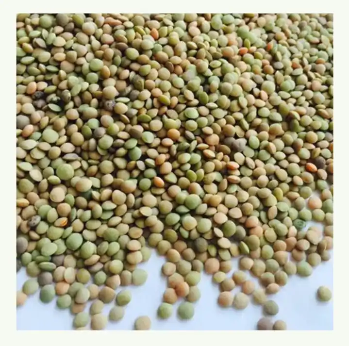 Green Lentils Canadian Red Lentils Green Lentils