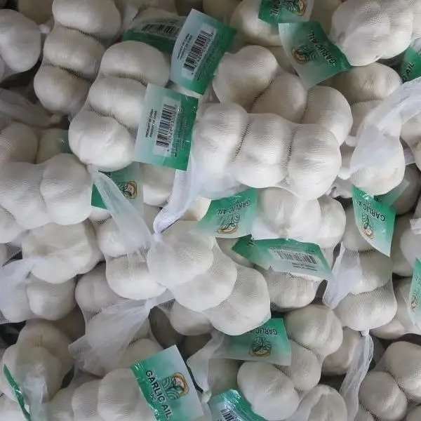 Chinese Low Price Fresh Garlic White Bag Crop Style Time June Food Newest Color Package Weight Normal Net Origin Type Shandong