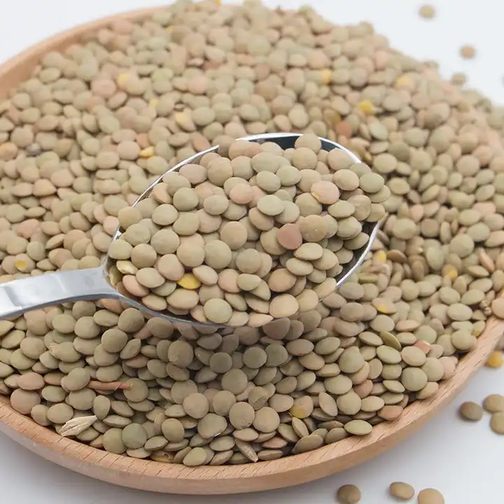 25Kg 8mm Healthy Canadian Whole Green Lentils Bags / Best Green Lentils Wholesale Suppliers/Where To Buy Green Lentils