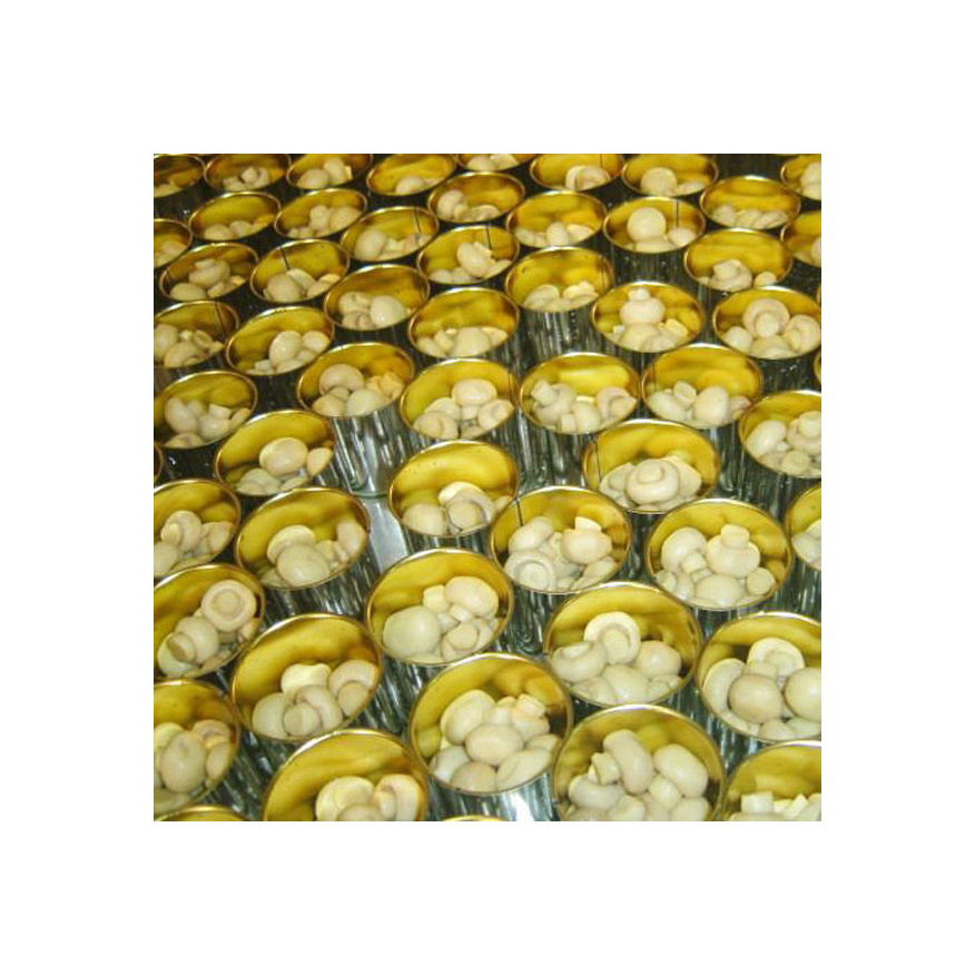 Quality Whole Canned Mushrooms for sale