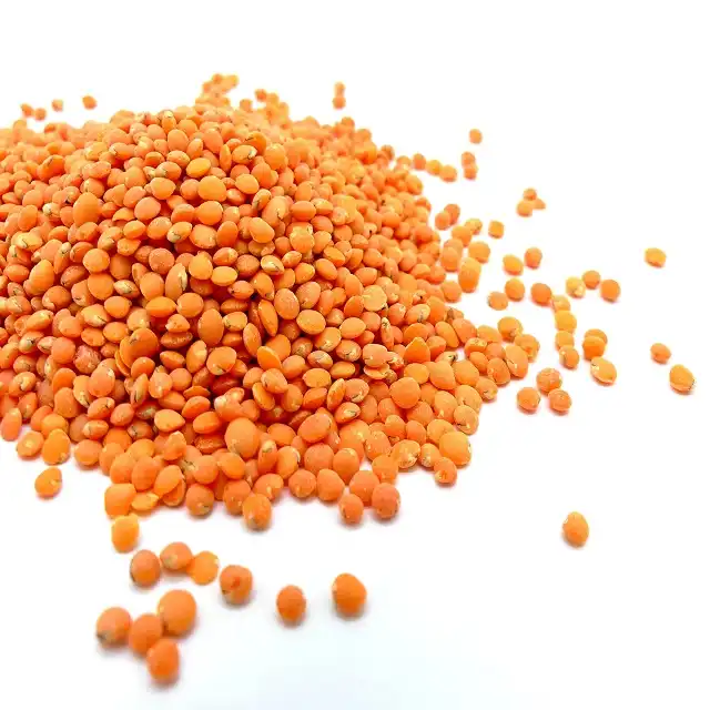 High Quality Organic Canadian Red Lentils / Split Red Lentils Available For Sale At Low Price, Fresh Red Lentil