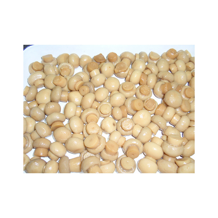 OEM private label custom logo canned mushroom whole in brine water mushroom canned food