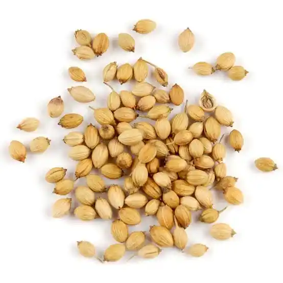 Organic Coriander Seeds