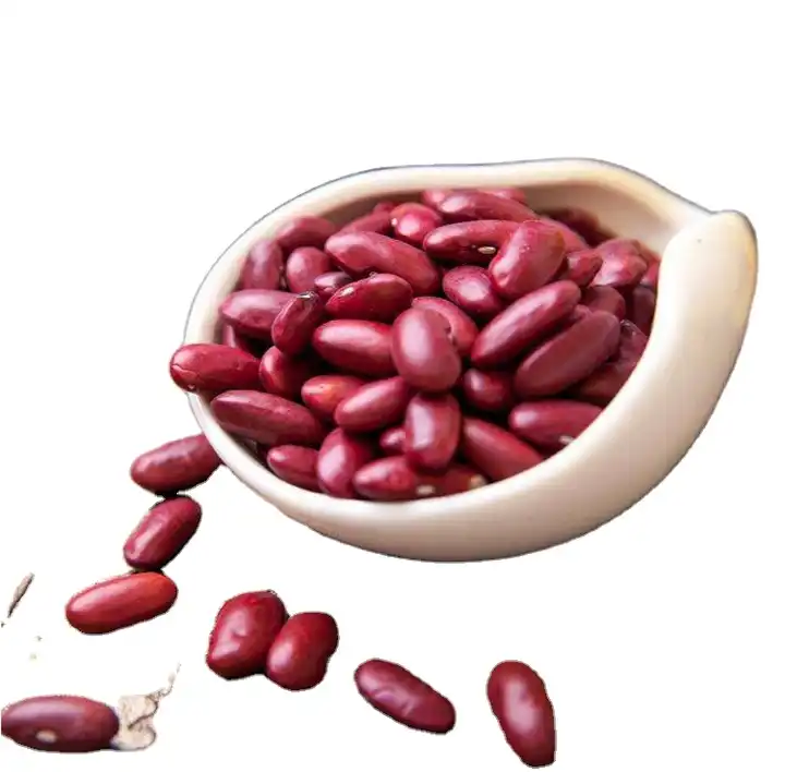 Egypt Origin Natural White kidney Beans Seeds