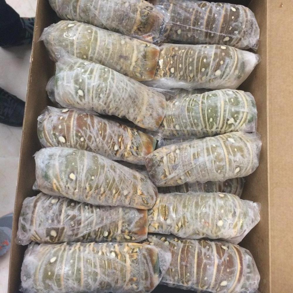 Live Lobsters Frozen Lobster Tails / Live Lobster For Sale Lobster Tails Wholesale / Live Lobster Price