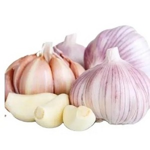 Chinese Low Price Fresh Garlic White Bag Crop Style Time June Food Newest Color Package Weight Normal Net Origin Type Shandong