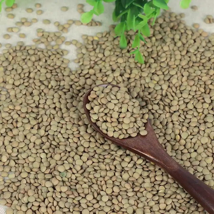 25Kg 8mm Healthy Canadian Whole Green Lentils Bags / Best Green Lentils Wholesale Suppliers/Where To Buy Green Lentils