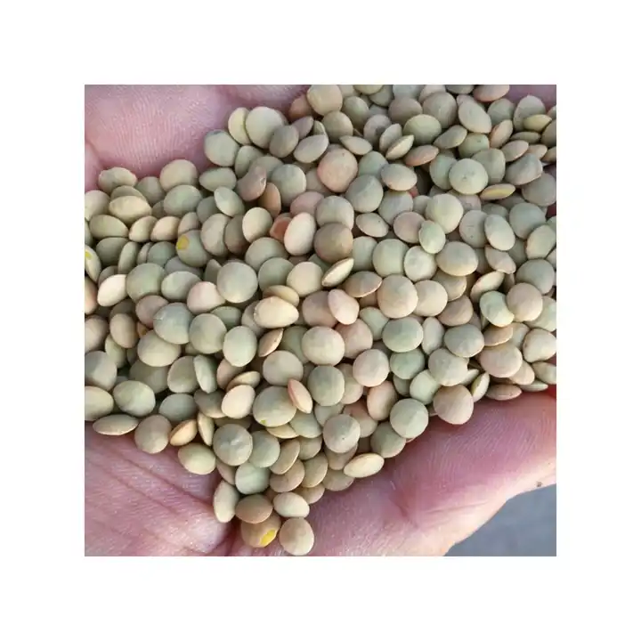 Green Lentils Canadian Red Lentils Green Lentils