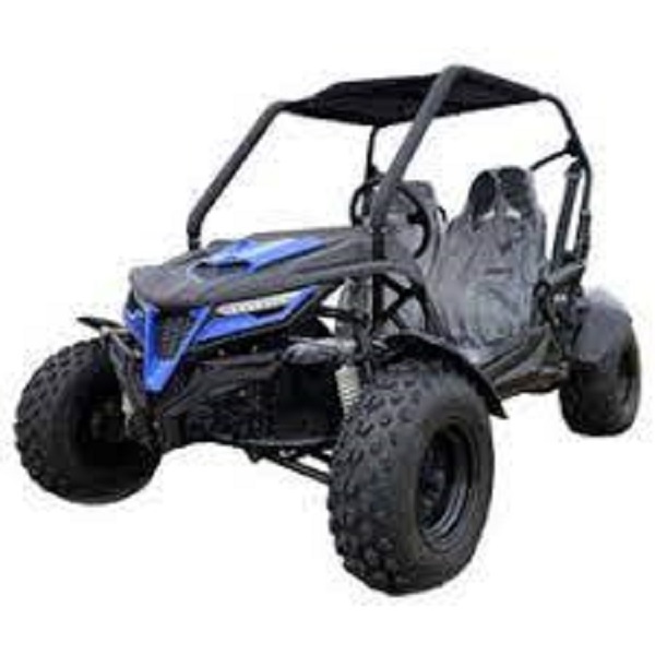 New 2022 Hammerhead Off-Road Dune Buggy All