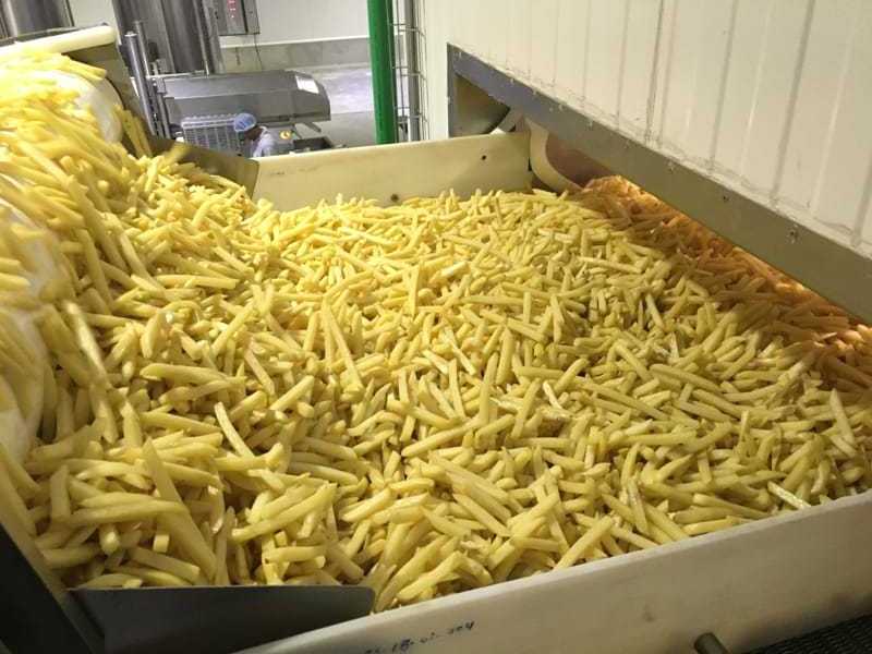 TOP NOTCH FROZEN FRENCH FRIES / FROZEN SLICED POTATOES IN BULK QUANTITY AT GOOD SALE PRICE