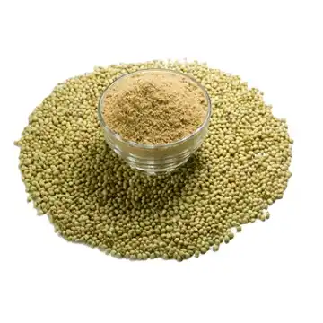 Organic Coriander Seeds