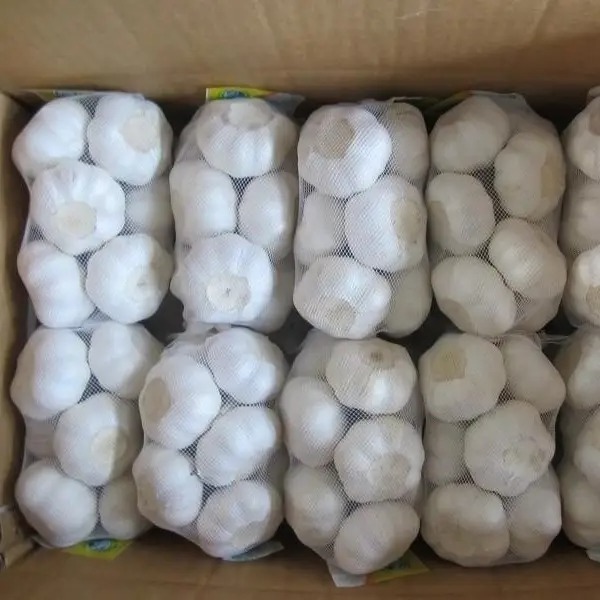 Chinese Low Price Fresh Garlic White Bag Crop Style Time June Food Newest Color Package Weight Normal Net Origin Type Shandong