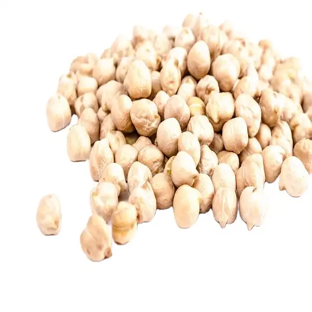 Wholesale Chickpea High Quality 8 mm Chickpeas From Turkey Dried Legume Bulk Style Hot Sale Chickpea