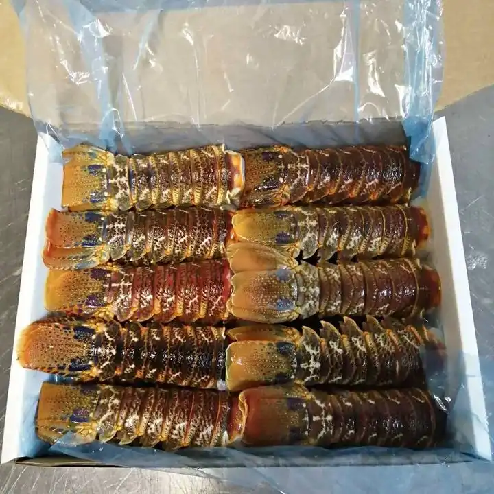 Seafood Fresh and Frozen Lobster, High Quality Lobster Tails For Sale.