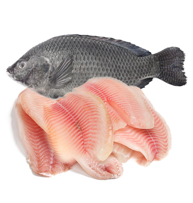 Frozen Tilapia Fish / Frozen Whole Round Tilapia Fish, Red Tilapia, Black Tilapia fillet