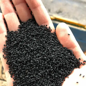 Indian Black Cumin - Nigella Seeds