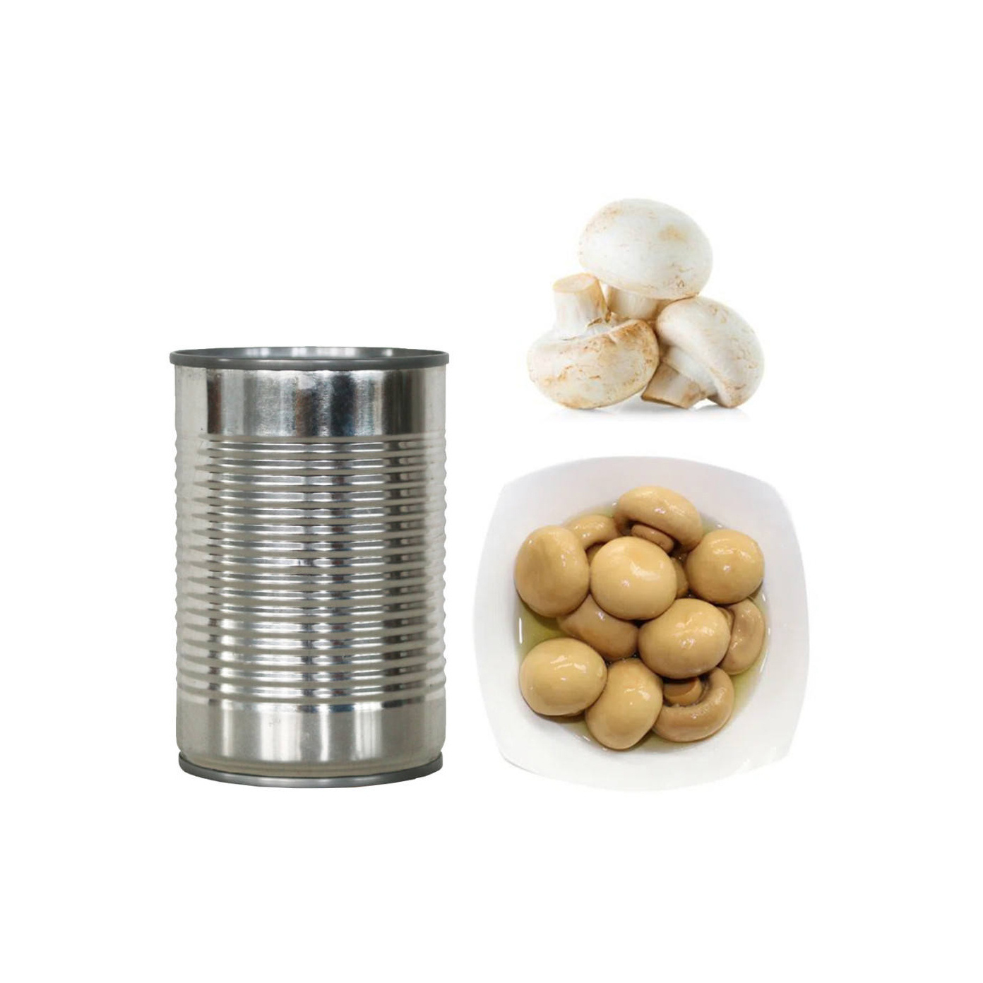 OEM private label custom logo canned mushroom whole in brine water mushroom canned food