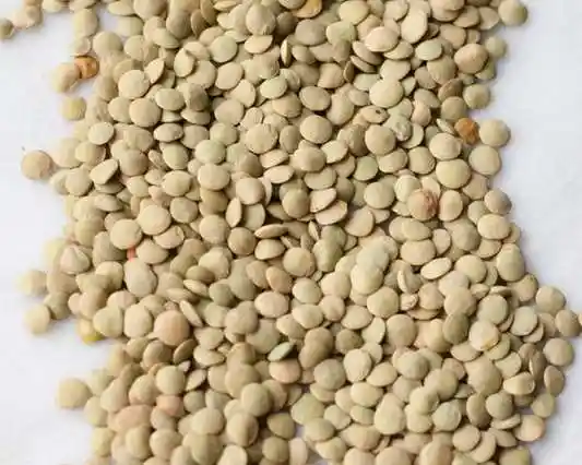 Green Lentils Canadian Red Lentils Green Lentils