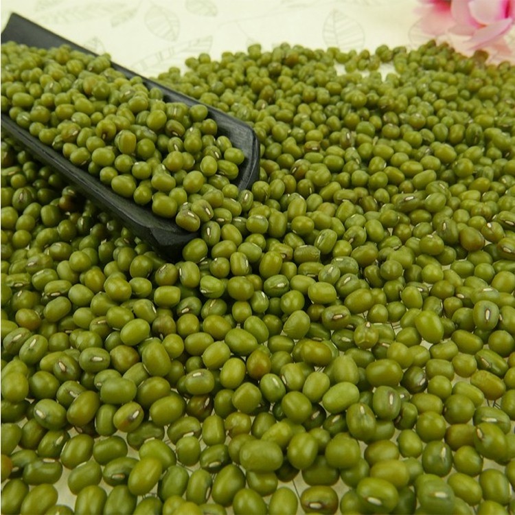 High Grade Non-GMO Nutritional Product Natural Bulk Dried Mung Beans from Uzbekistan Vigna Mung beans for Food