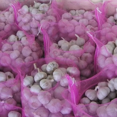 Chinese Low Price Fresh Garlic White Bag Crop Style Time June Food Newest Color Package Weight Normal Net Origin Type Shandong