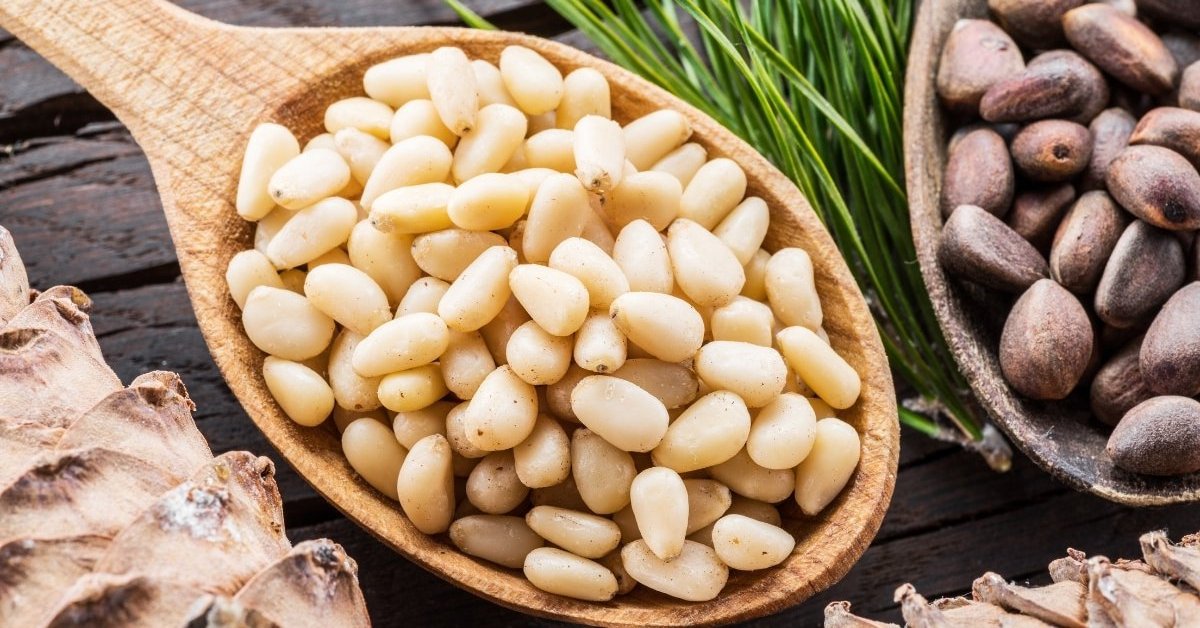 Top Quality Raw Pine Nuts For Sale In Bulk Quantity / Wholesale Organic Pure Pine Nuts Ready For Export