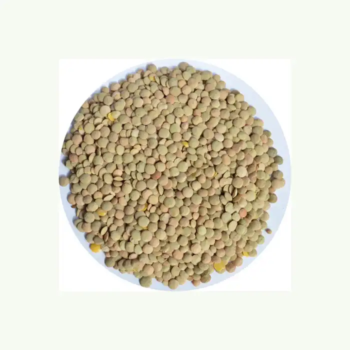 25Kg 8mm Healthy Canadian Whole Green Lentils Bags / Best Green Lentils Wholesale Suppliers/Where To Buy Green Lentils