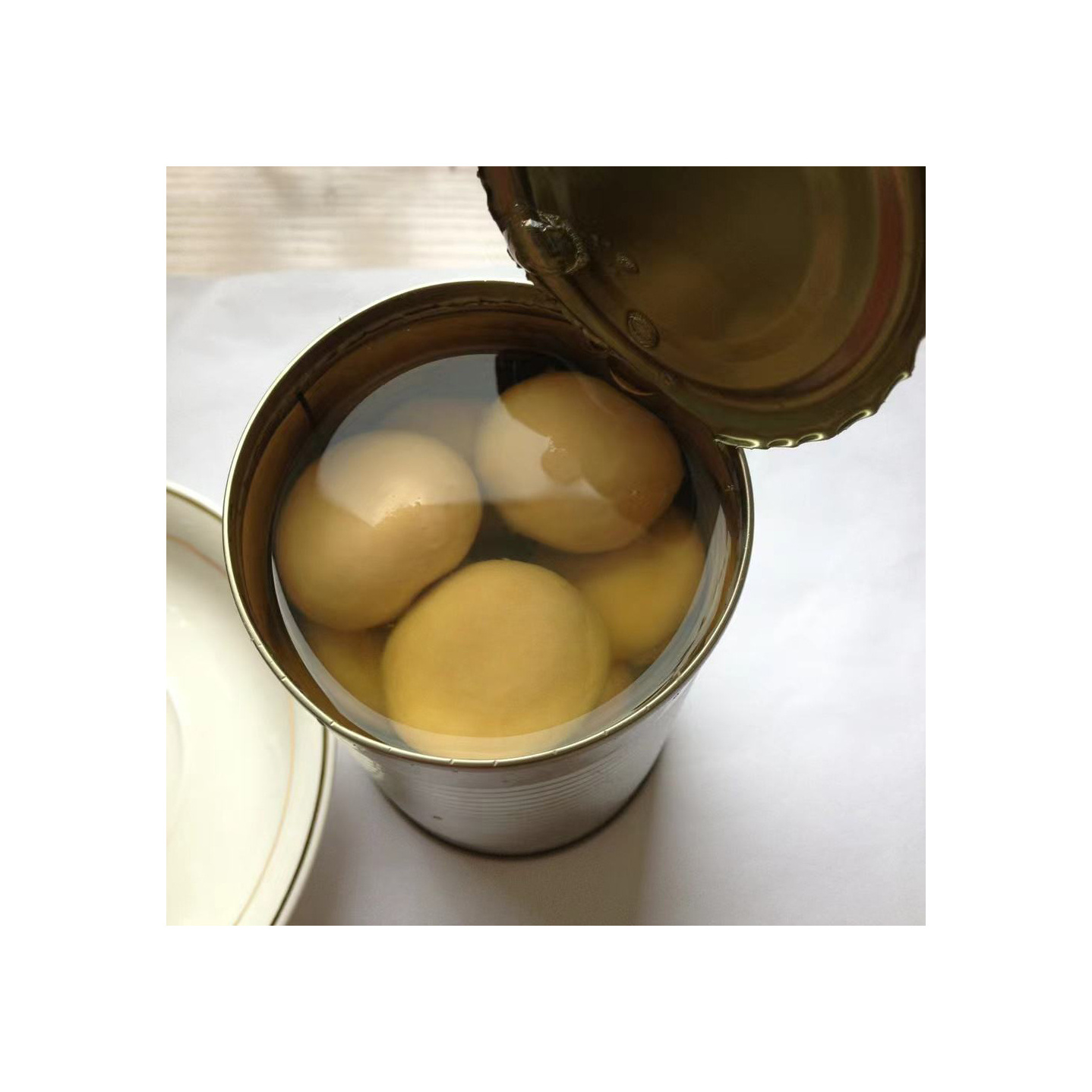 Best Canned whole button mushroom brands 425g