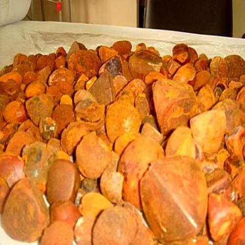 Buy now Quality Dried Ox Cow Gallstone Cattle gallstones