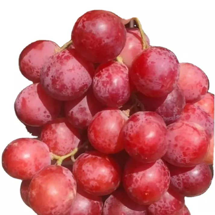 Chinese fresh red grape sweet grapes fresh grape fruit