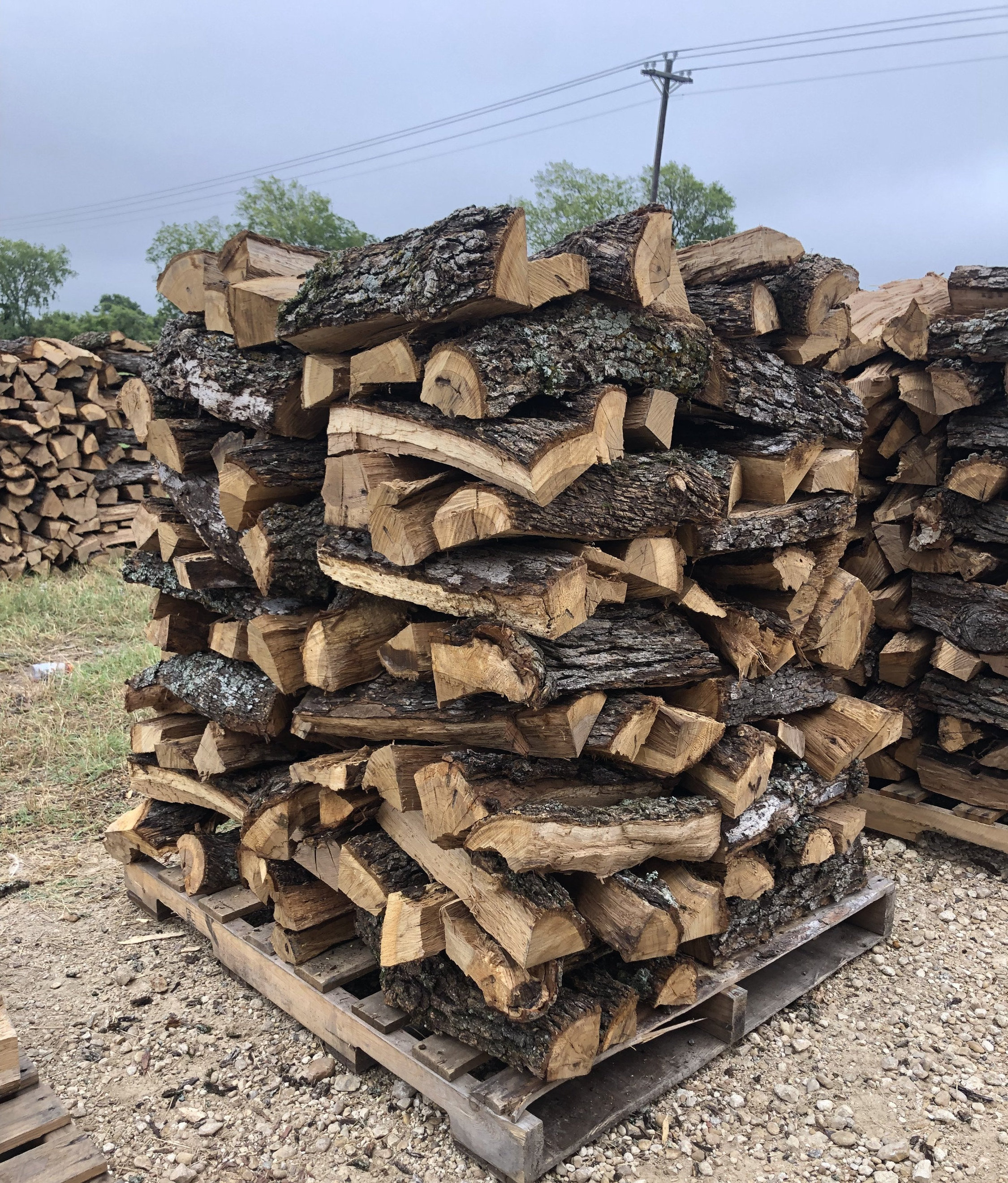 Best wholesale dry fire wood for sale at factory price / Mangrove Hardwood Firewood for Sale in Bulk Quantity 28 C/83F Biofuel