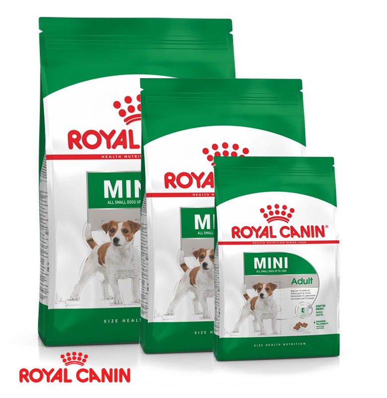 Hot Sale Royal Canin Maxi Starter/Royal Canin Kitten Food, Royal Canin Puppy/Royal Canin Kitten Dry Cat Food