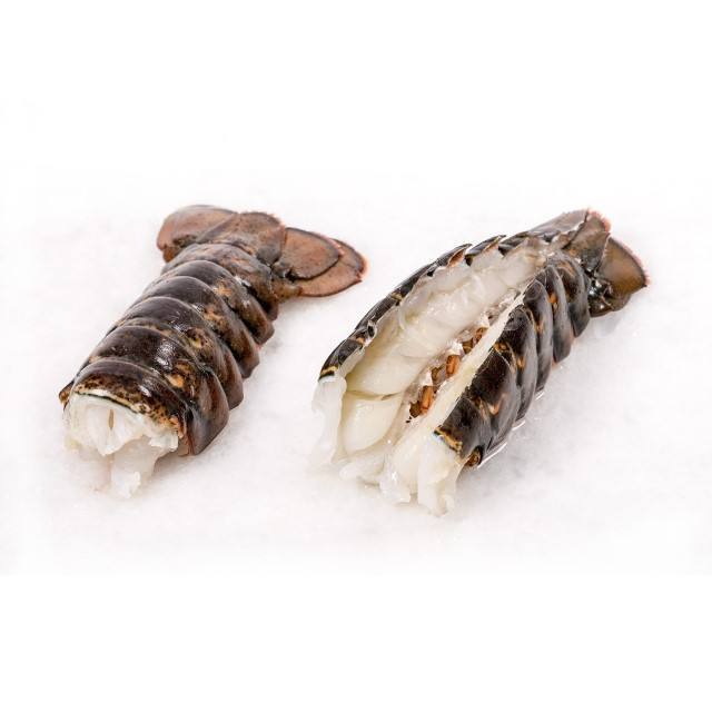 Live Lobsters / Frozen Lobster Tails Wholesale Best Prices Fresh Caribbean Spiny Lobster wholesale price