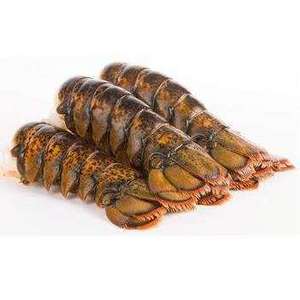 Live Lobster, Spiny Lobster, Frozen Lobster Tail available in stock