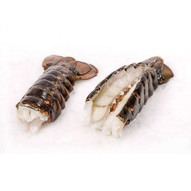 Live Lobster, Spiny Lobster, Frozen Lobster Tail available in stock