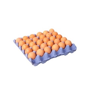 CERTIFIED IMPORT Fresh Chicken Eggs / Round Table Eggs / Fertile hatching eggs at cheap price