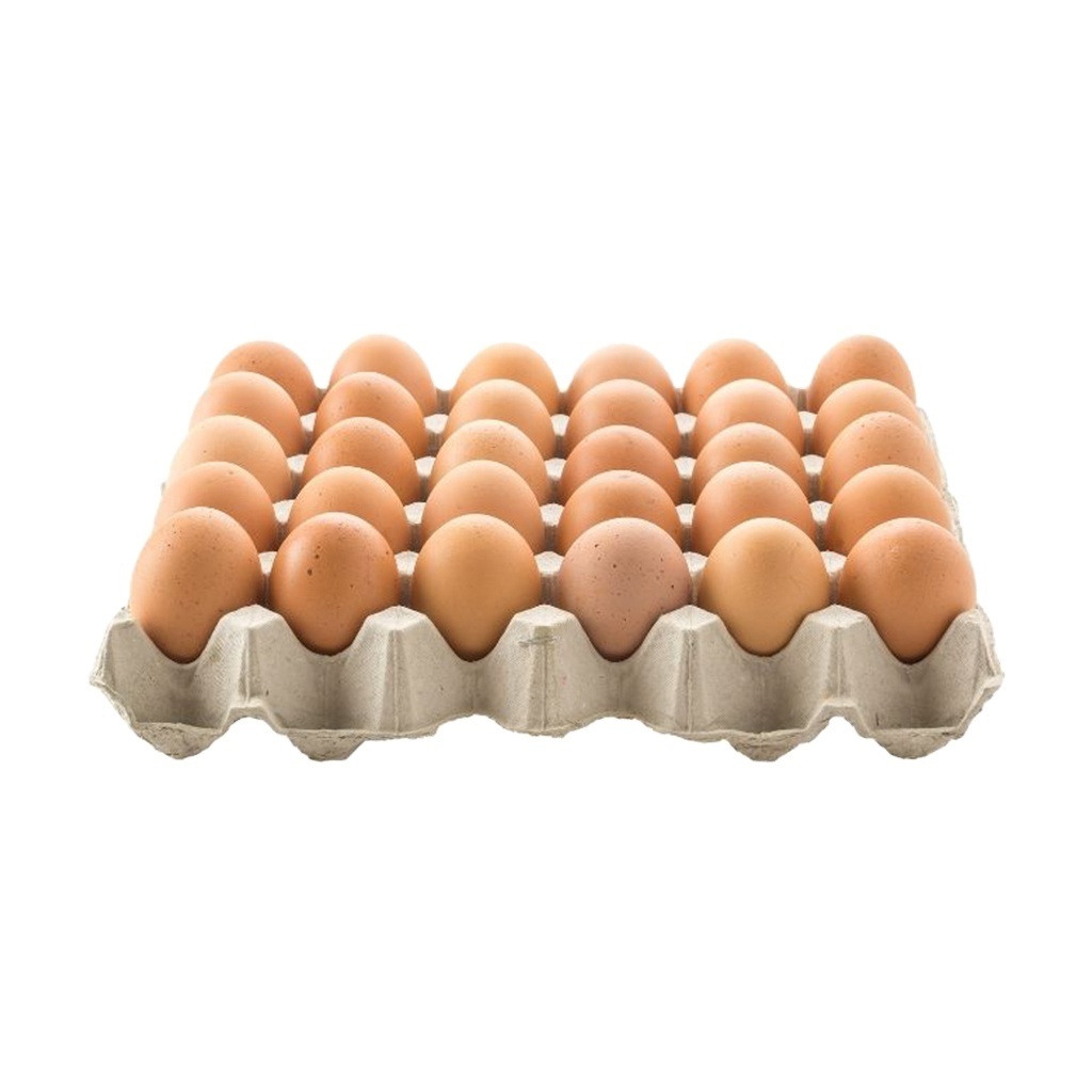 Broiler Chicken Eggs / Round Table Eggs for Sale / fertile hatching eggs