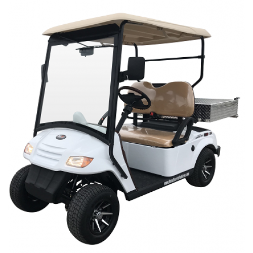 4 Passenger Golf Cart with seats for sale with free shipping