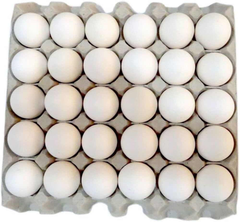 Broiler Chicken Eggs / Round Table Eggs for Sale / fertile hatching eggs