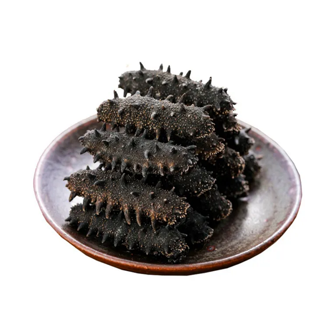 Dried Sea Cucumber / Frozen Sea Cucumber / Fresh Sea Cucumber Best Wholesale Priced Dried & Frozen Sea Cucumber