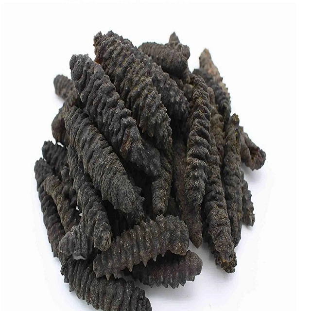 Dried Sea Cucumber / Frozen Sea Cucumber / Fresh Sea Cucumber Best Wholesale Priced Dried & Frozen Sea Cucumber