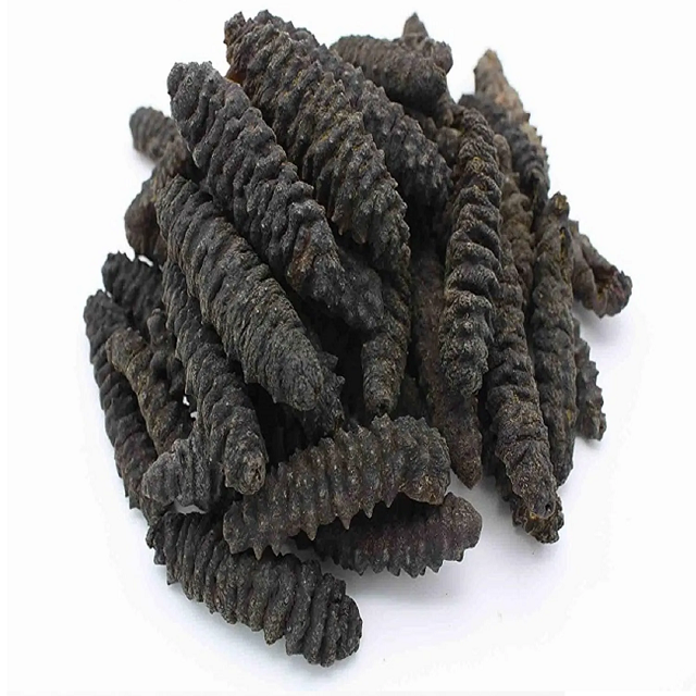 Dried Sea Cucumber / Frozen Sea Cucumber / Fresh Sea Cucumber Best Wholesale Priced Dried & Frozen Sea Cucumber