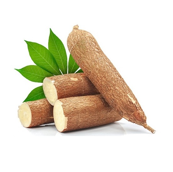 High Quality Fresh Vegetables Cassava Available For Sale At Low Price