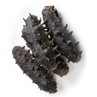 Dried Sea Cucumber / Frozen Sea Cucumber / Fresh Sea Cucumber Best Wholesale Priced Dried & Frozen Sea Cucumber