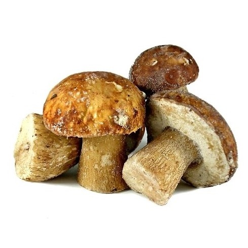 Wholesale Boletus Luteus Mushrooms / Frozen Porcini Mushrooms