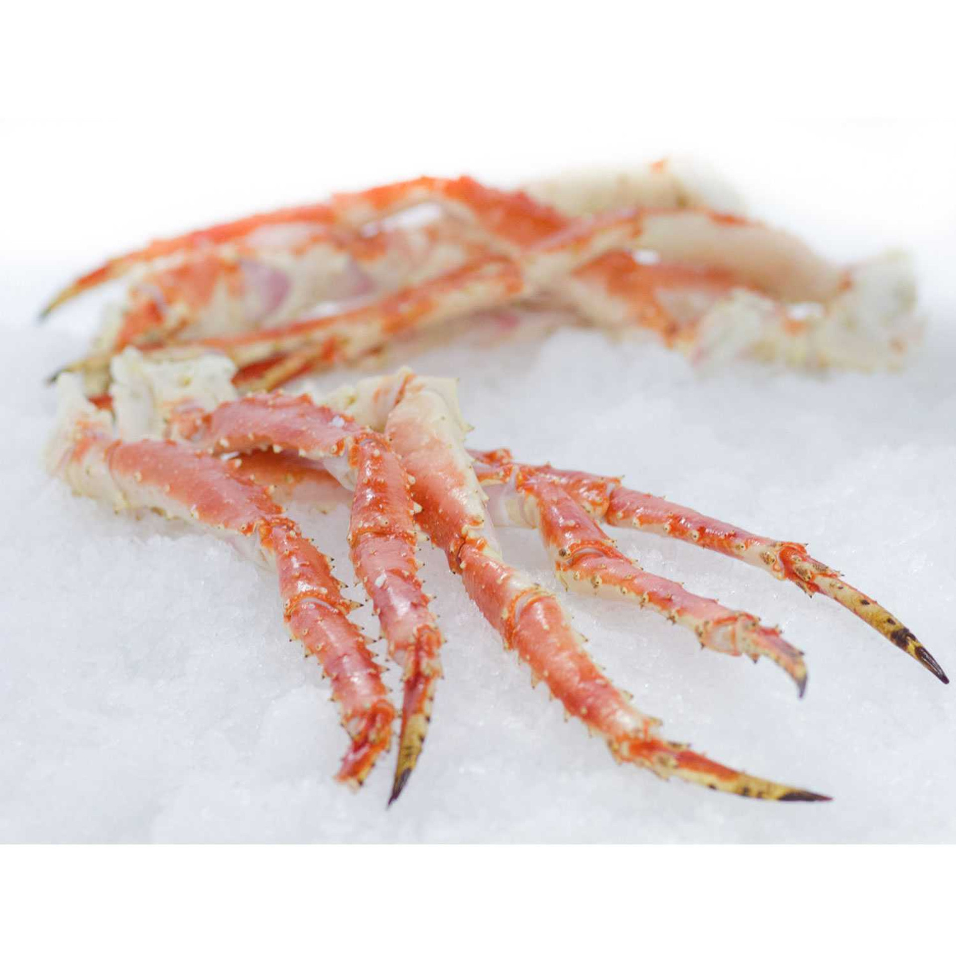 King Crab Legs Frozen Quality King Crabs Online Snow Crab, Alaskan King Crabs, Norwegian king crabs